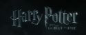 CdF-Potterish_0075.jpg