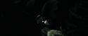 CdF-Potterish_0122.jpg