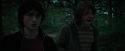 CdF-Potterish_0300.jpg