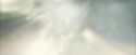 CdF-Potterish_0372.jpg