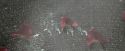 CdF-Potterish_0565.jpg