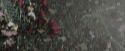 CdF-Potterish_0576.jpg