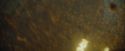 CdF-Potterish_0752.jpg