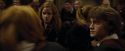 CdF-Potterish_1212.jpg