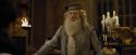 CdF-Potterish_1224.jpg