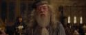 CdF-Potterish_1315.jpg