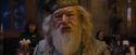 CdF-Potterish_1441.jpg