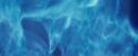 CdF-Potterish_1451.jpg