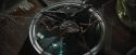 CdF-Potterish_1721.jpg