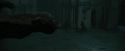 CdF-Potterish_1842.jpg