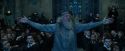 CdF-Potterish_2108.jpg