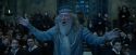 CdF-Potterish_2111.jpg