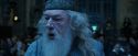 CdF-Potterish_2159.jpg