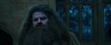 CdF-Potterish_2166.jpg