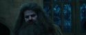 CdF-Potterish_2167.jpg