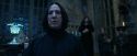 CdF-Potterish_2215.jpg