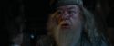 CdF-Potterish_2271.jpg
