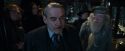 CdF-Potterish_2295.jpg