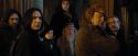 CdF-Potterish_2312.jpg