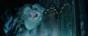 CdF-Potterish_2373.jpg