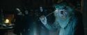 CdF-Potterish_2401.jpg