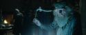 CdF-Potterish_2404.jpg