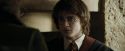 CdF-Potterish_2633.jpg