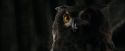 CdF-Potterish_2688.jpg