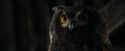 CdF-Potterish_2689.jpg