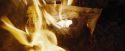 CdF-Potterish_2898.jpg