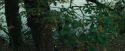 CdF-Potterish_2908.jpg