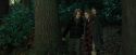 CdF-Potterish_2931.jpg