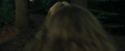 CdF-Potterish_2960.jpg