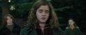 CdF-Potterish_2976.jpg
