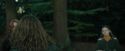 CdF-Potterish_2977.jpg