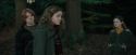 CdF-Potterish_2982.jpg