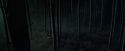 CdF-Potterish_2994.jpg