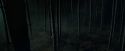 CdF-Potterish_2995.jpg