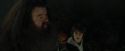 CdF-Potterish_3001.jpg
