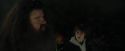 CdF-Potterish_3002.jpg
