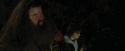 CdF-Potterish_3011.jpg