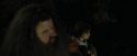 CdF-Potterish_3014.jpg