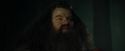 CdF-Potterish_3023.jpg