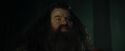 CdF-Potterish_3024.jpg