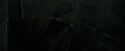 CdF-Potterish_3033.jpg