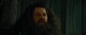 CdF-Potterish_3100.jpg
