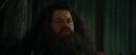 CdF-Potterish_3101.jpg