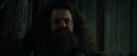 CdF-Potterish_3102.jpg
