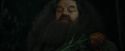 CdF-Potterish_3106.jpg