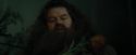 CdF-Potterish_3114.jpg